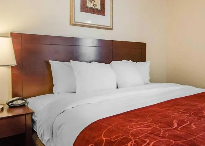 Quality Suites Jeffersonville - Louisville North Clarksville 
