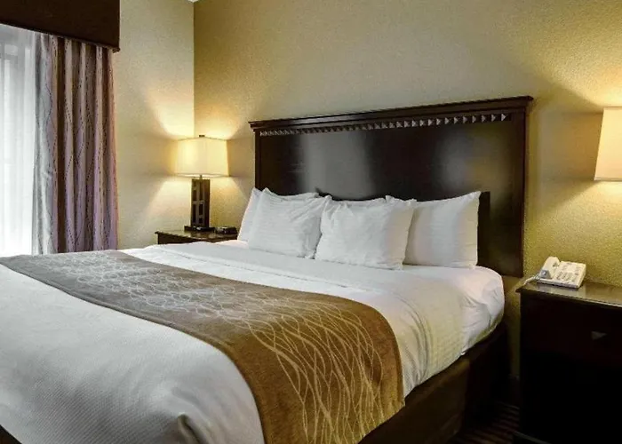Comfort Inn & Suites Hot Springs Midtown