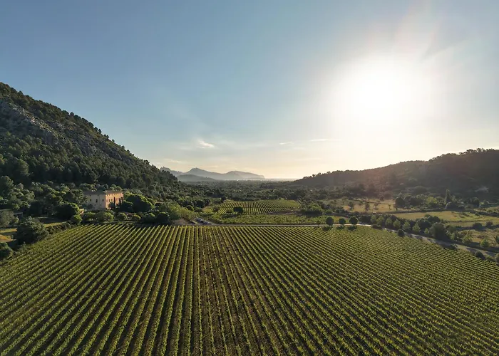 Son Brull Hotel & Spa - Relais & Chateaux Pollensa