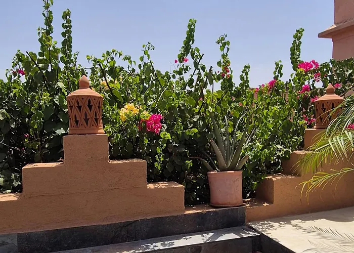 Color Safra Hotel Marrakesh