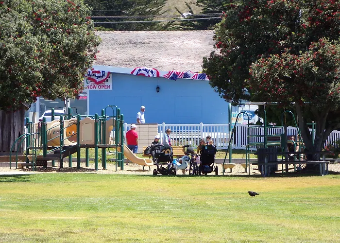Cypress Tree Motel