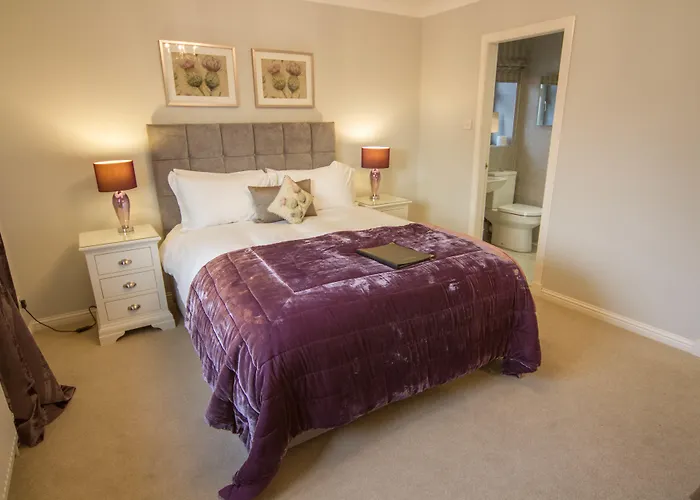 Springfield Lodge Bed And Breakfast Stirling