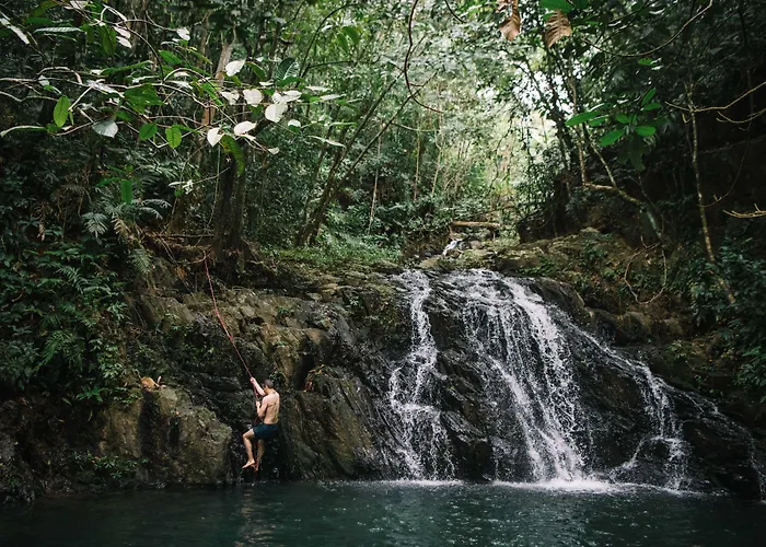 Bocawina Rainforest Resort Hopkins