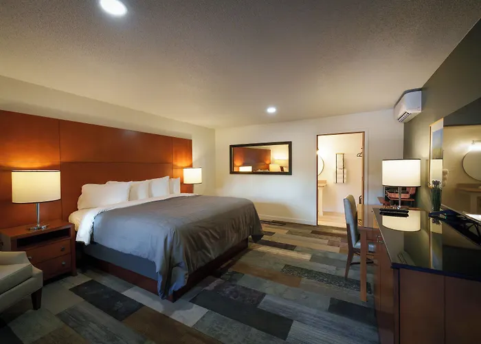 Shelton Inn