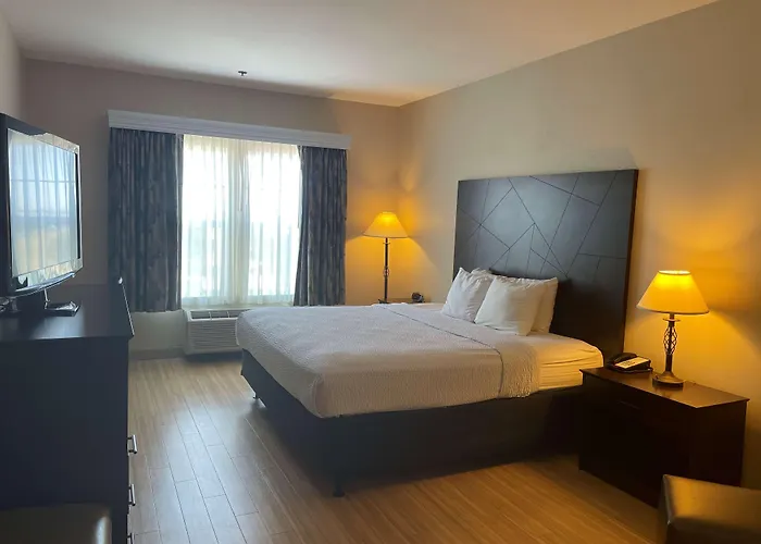Best Western I-5 Inn & Suites Lodi