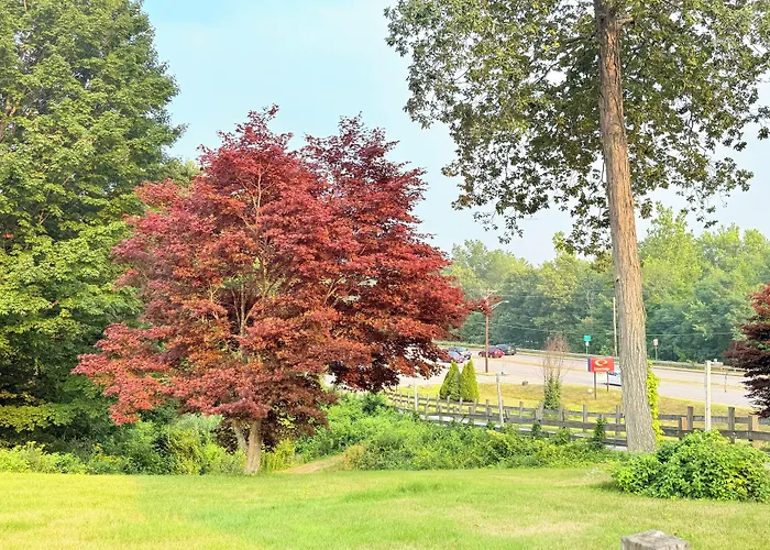 Econo Lodge Sturbridge Route 20