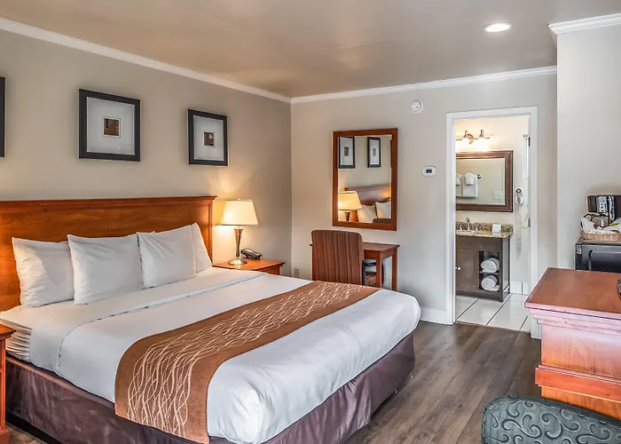 The Inn At 1252 Monterey