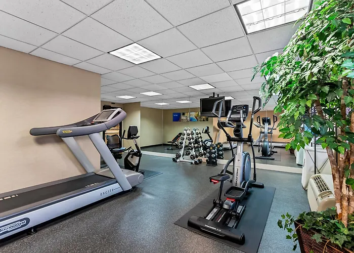 Comfort Inn & Suites Somerset - New Brunswick
