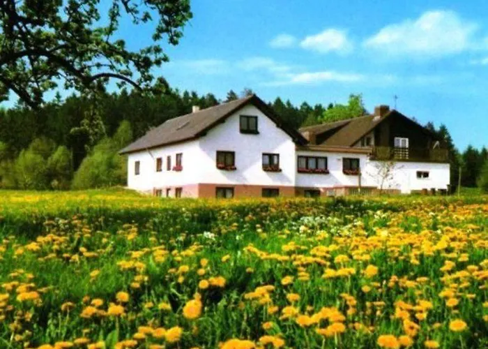 Gasthaus-Pension Zum Brandweiher Amorbach