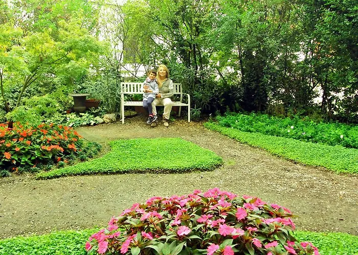 Villa Laila Bed&Breakfast Lodi