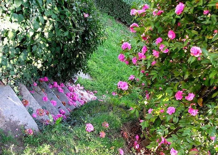 Guest House Cascina Belsito