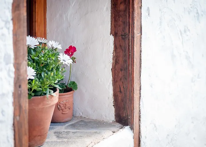 EcoVerode Hotel Emblemático Vegetariano Vegano Arona 