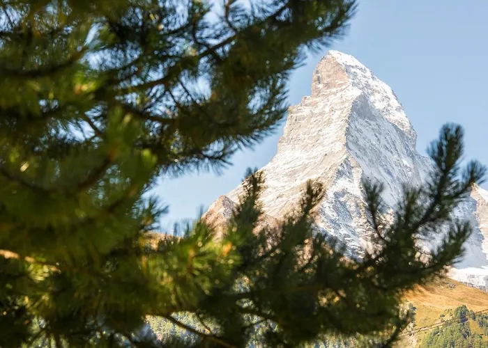 Bed & Breakfast Bijou Zermatt