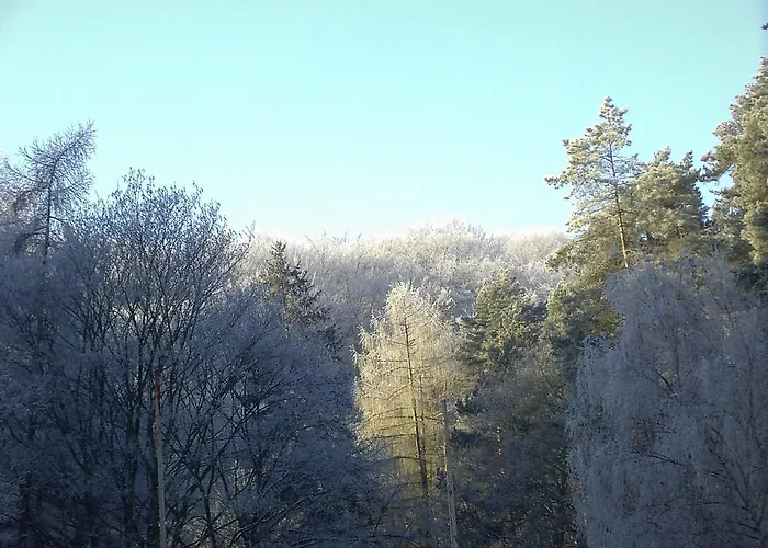 Hotel Waldgaststätte Sennhütte Bad Frankenhausen/Kyffhäuser