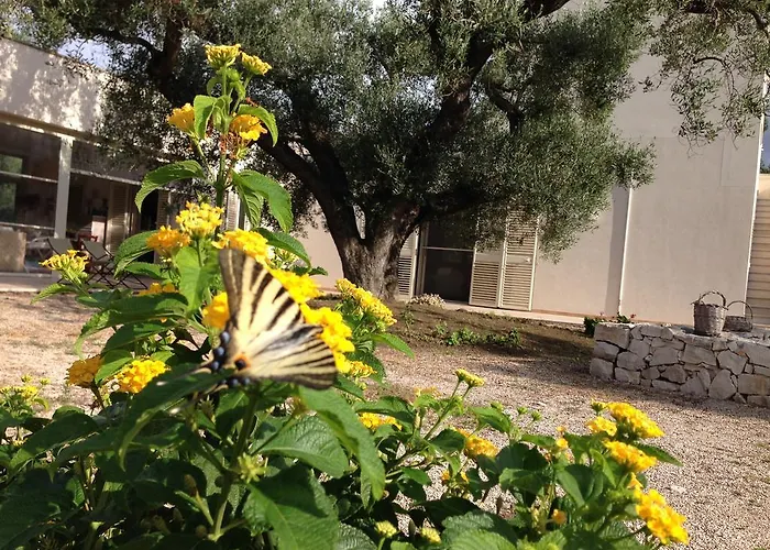 B&B Finestre Tra Gli Ulivi Mesagne