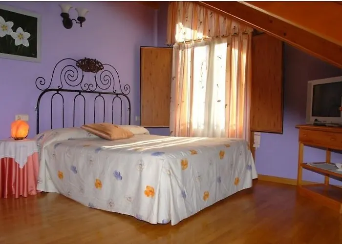 Casa Rural Casa Colom Espot