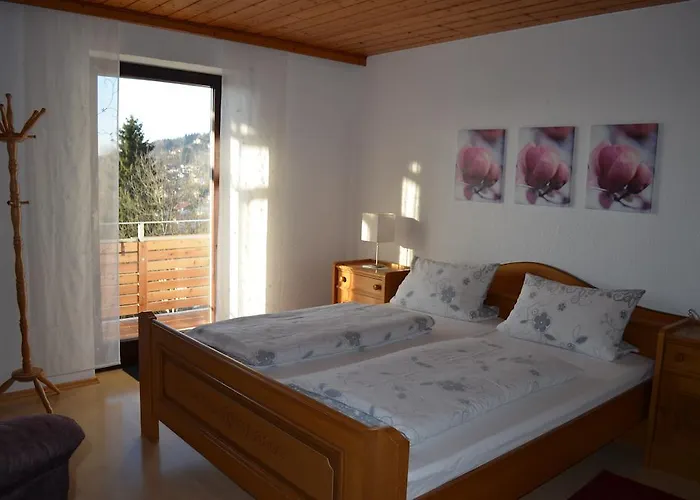 Hotel Gästehaus Haller Bodenmais