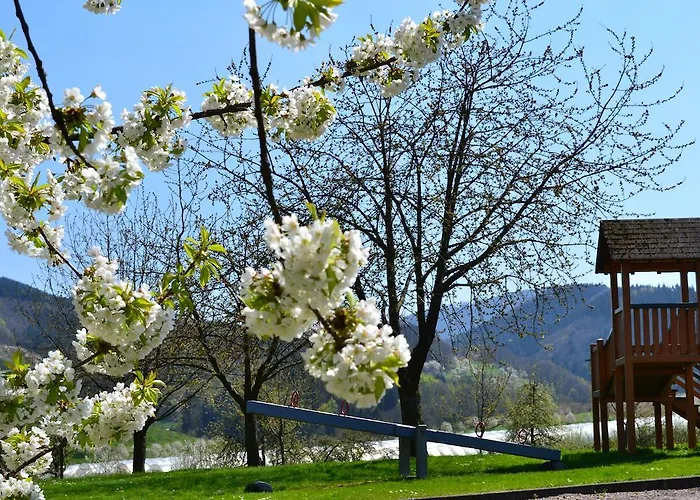 Hotel Die Alm Oberkirch 