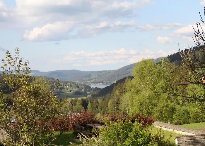 Hotel Adler Bärental Feldberg 
