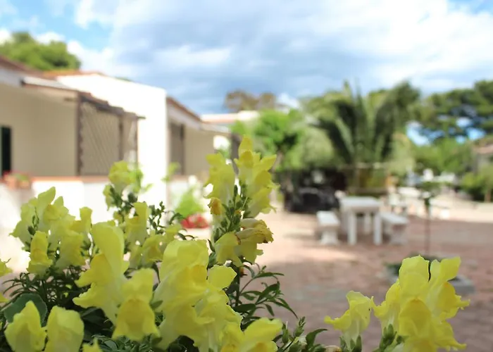 Residence Rendez Vous Vieste