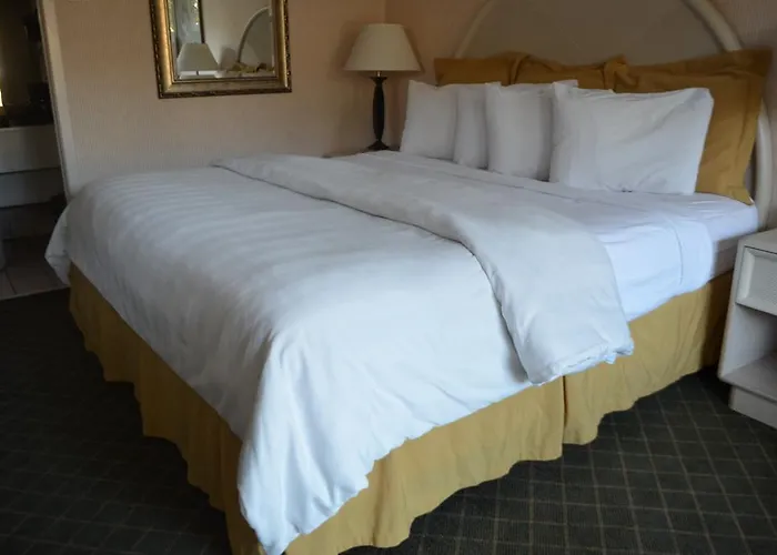 Chapel Hill University Inn
