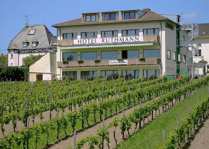 B&B Ruthmann-Rheinblick Oestrich-Winkel