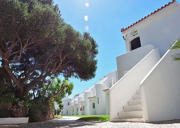 Verde Pino Vilamoura