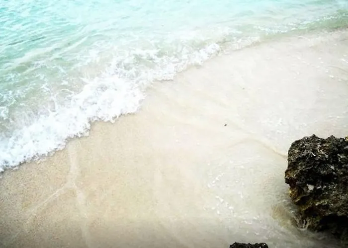 Jamrock Secret Retreat Hotel Montego Bay
