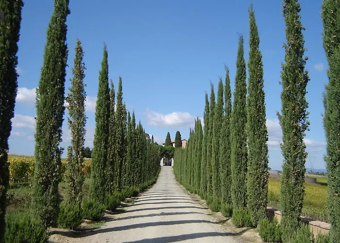 Villa Loggio Winery&Boutique Hotel Cortona