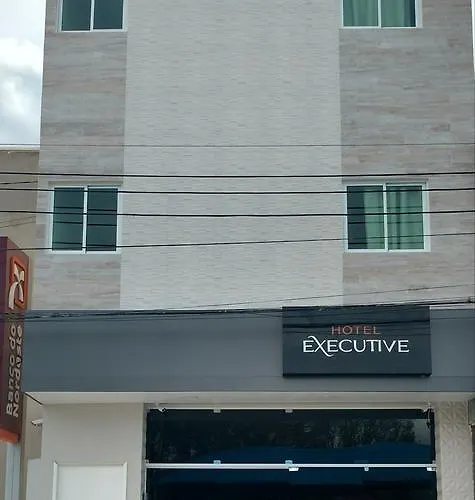 Hotel Executive