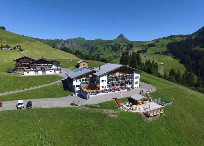 Hotel Pension Hertehof Damüls