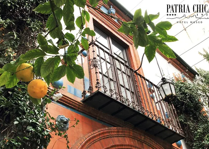 Hotel Patria Chica
