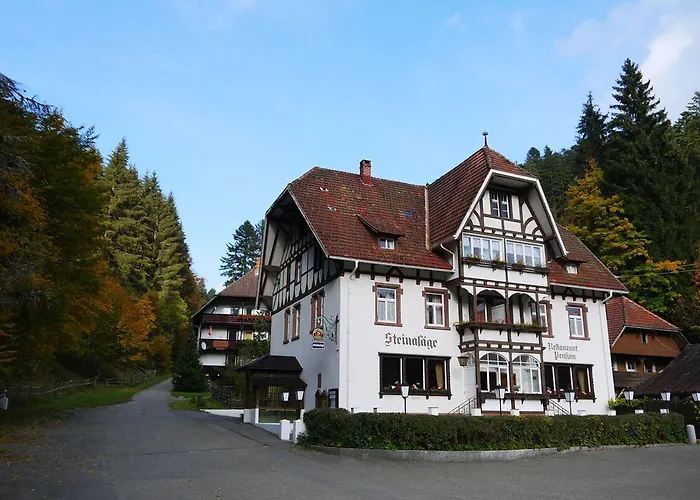Hotel B&B Steinasäge Bonndorf im Schwarzwald