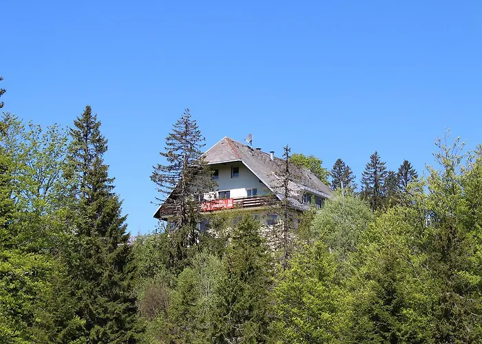 Boutique Hotel Kokoschinski Feldberg 