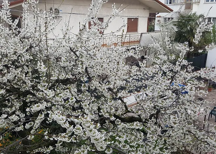 Hotel a Monfalcone
