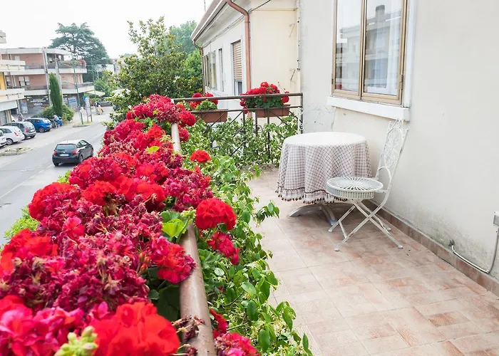 B&B Pereuka Rovigo
