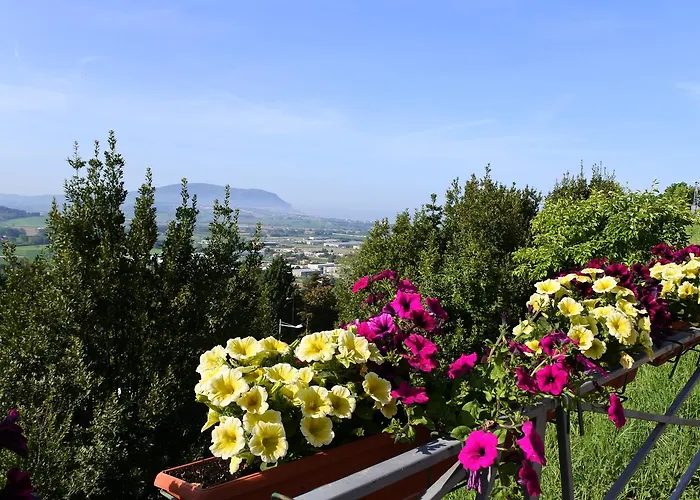 Hotel Loreto