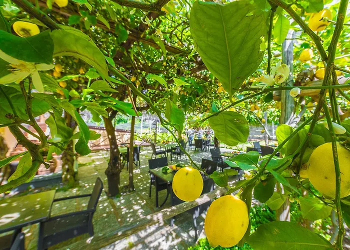 Hotel Maiori Antica