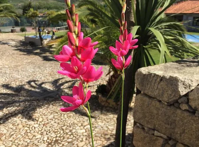 Quinta Da Vinha Morta Acomodação com café da manhã Lamego
