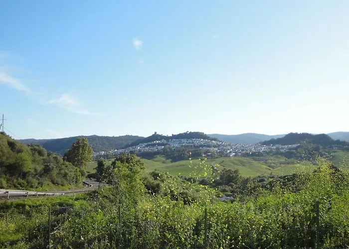 Caballo Andaluz