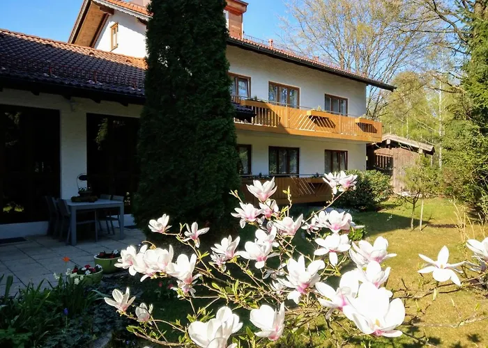 Hotel am Wald
