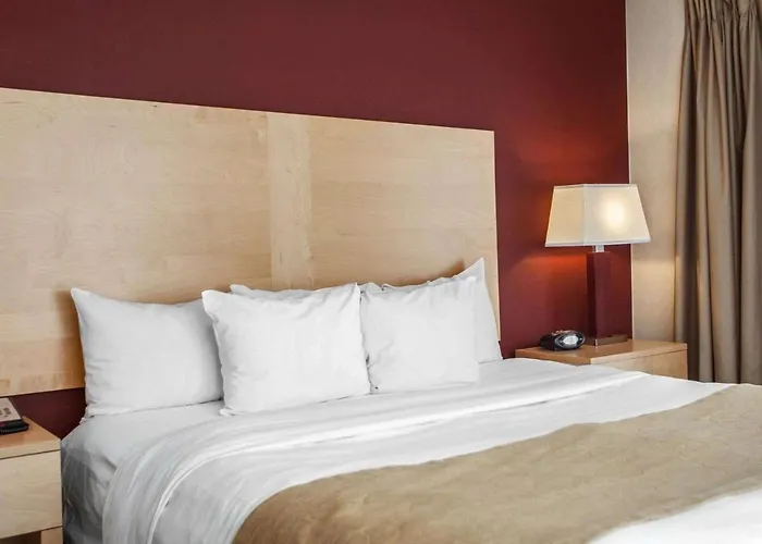 Comfort Suites Michigan Avenue Chicago