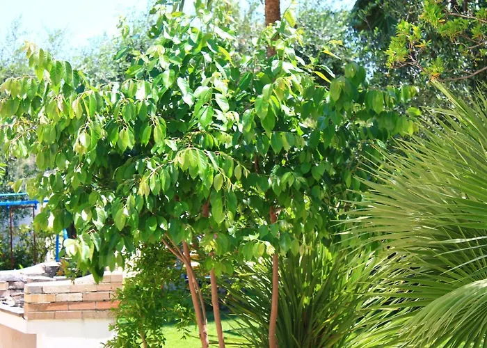 Green Garden Eco-Holiday Vieste