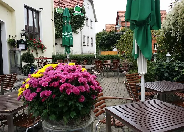 Hotel-Landgasthof Grüner Baum - Dittigheim Tauberbischofsheim