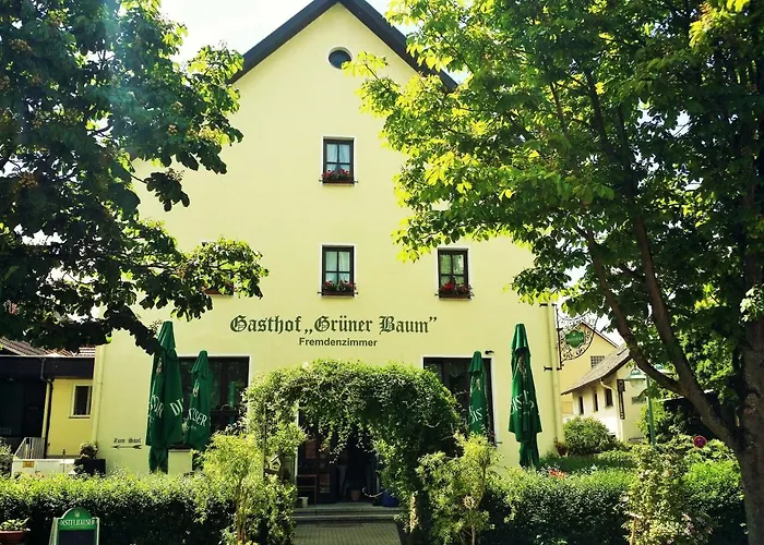 Hotel-Landgasthof Grüner Baum - Dittigheim Tauberbischofsheim