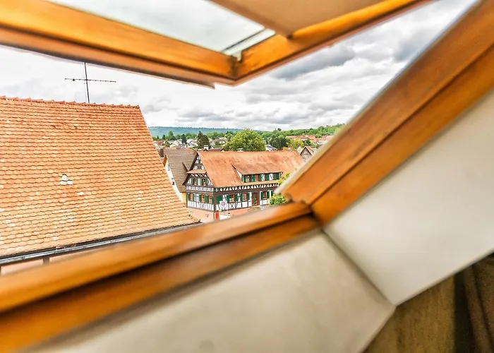 Hotel Krone Friesenheim 