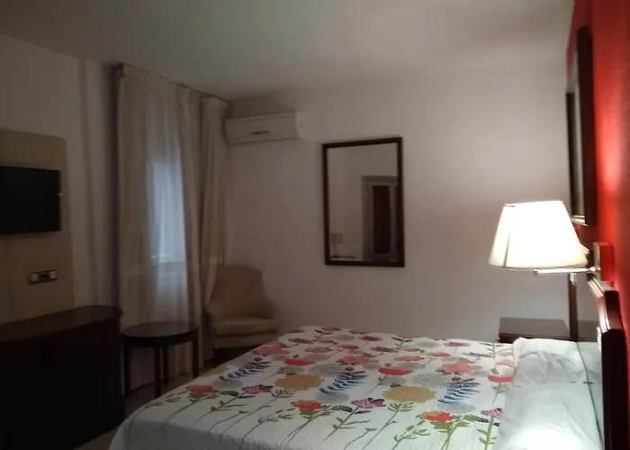 Hotel Nuevo Ara Caces