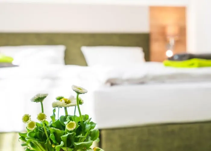 Hotel-Pension Treppengasse Nr 6