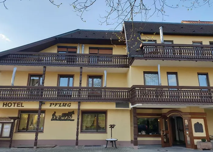 Ringhotel Pflug