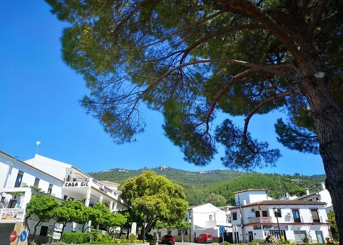 Hotel Venta Julian El Bosque 